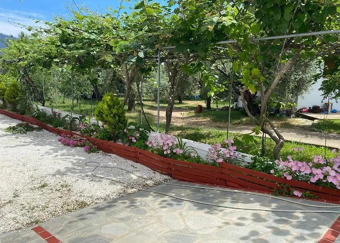 Charis 3* Σκάλα Ποταμιάς